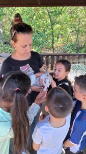 lwskTinQ